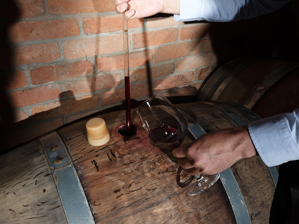 Agidela Wines