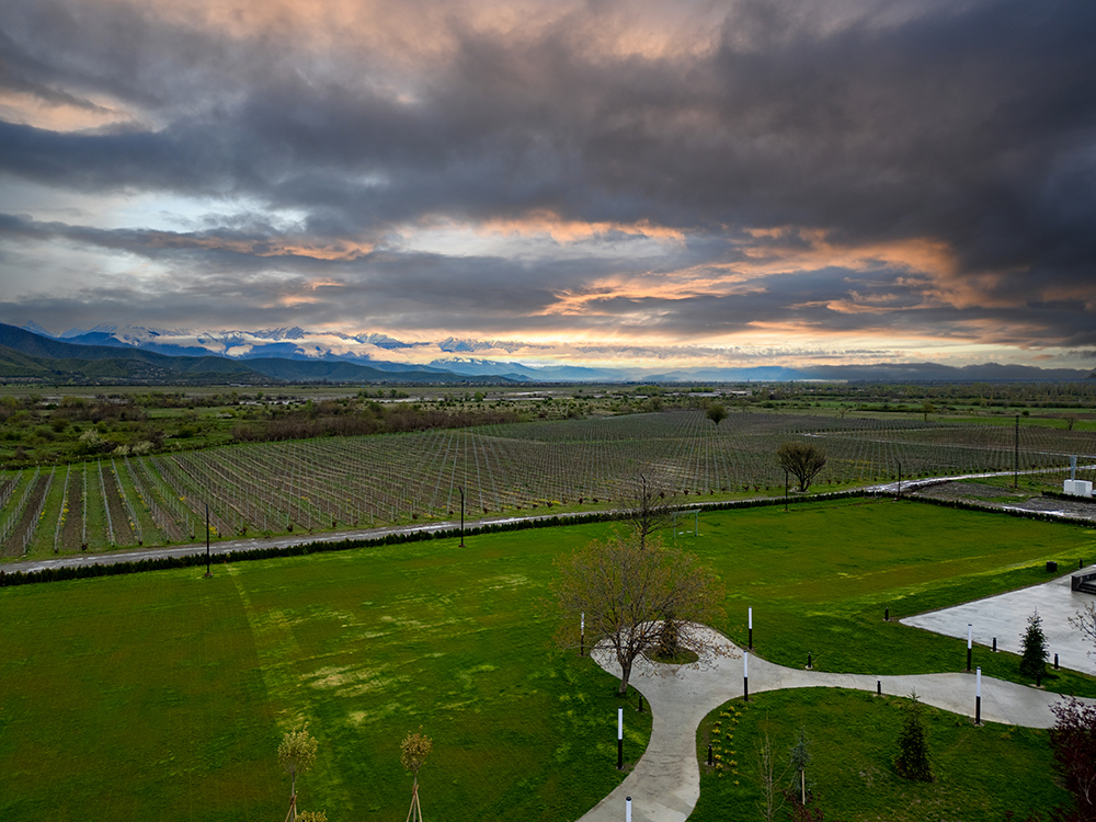 Shaverde — Heritage Continued