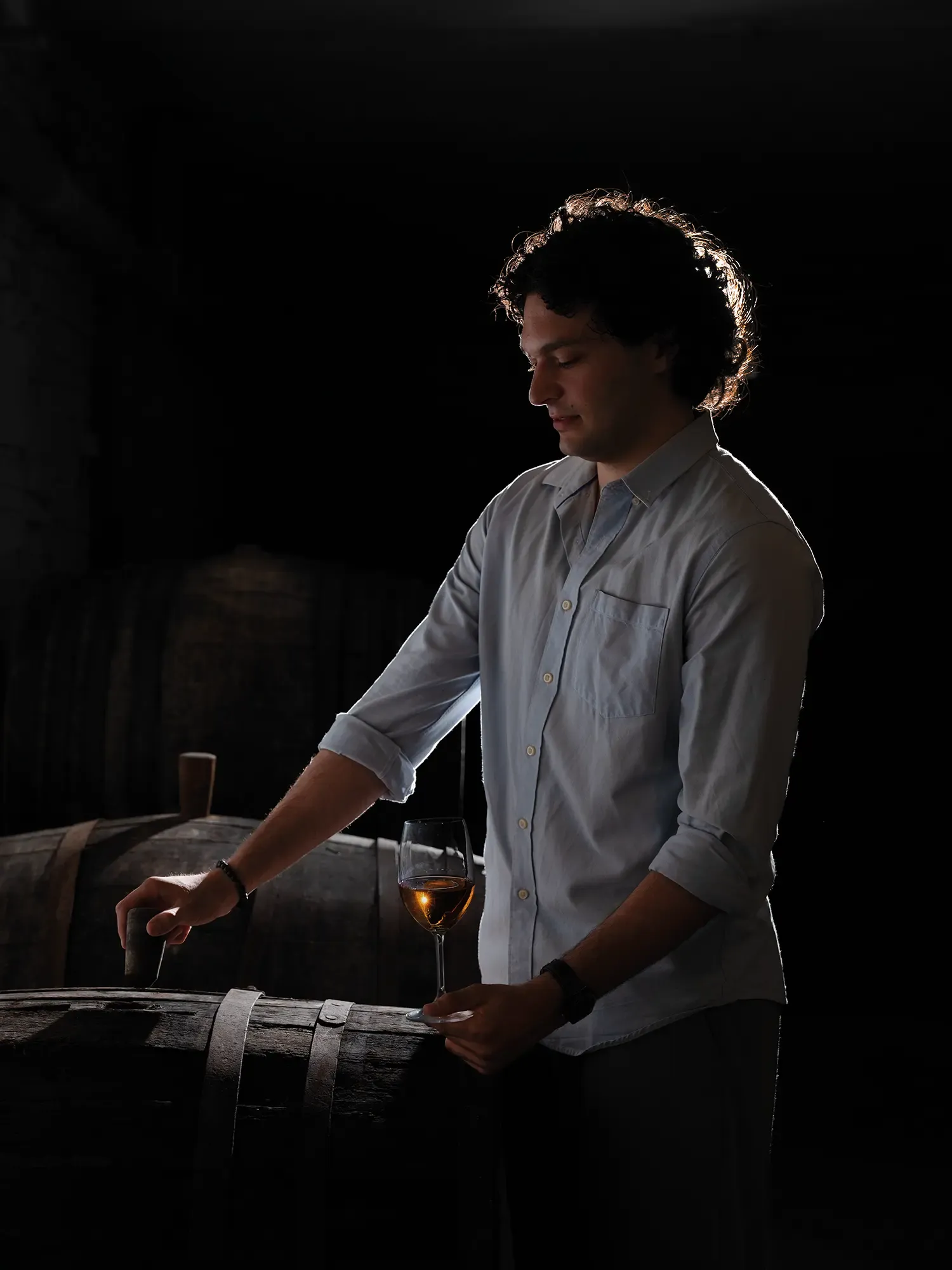 Cradle of Wine 