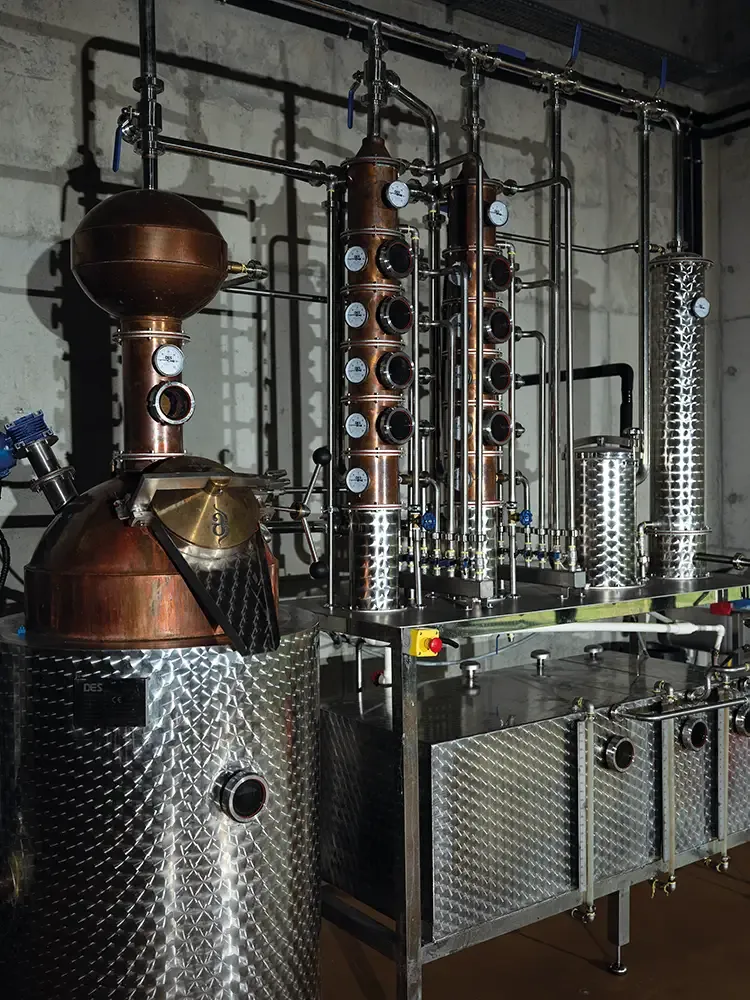 Georgian winemaking history