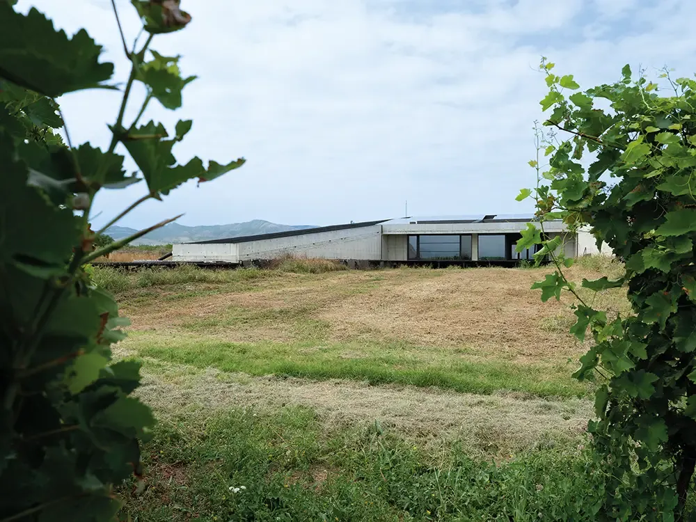 Georgian winemaking history