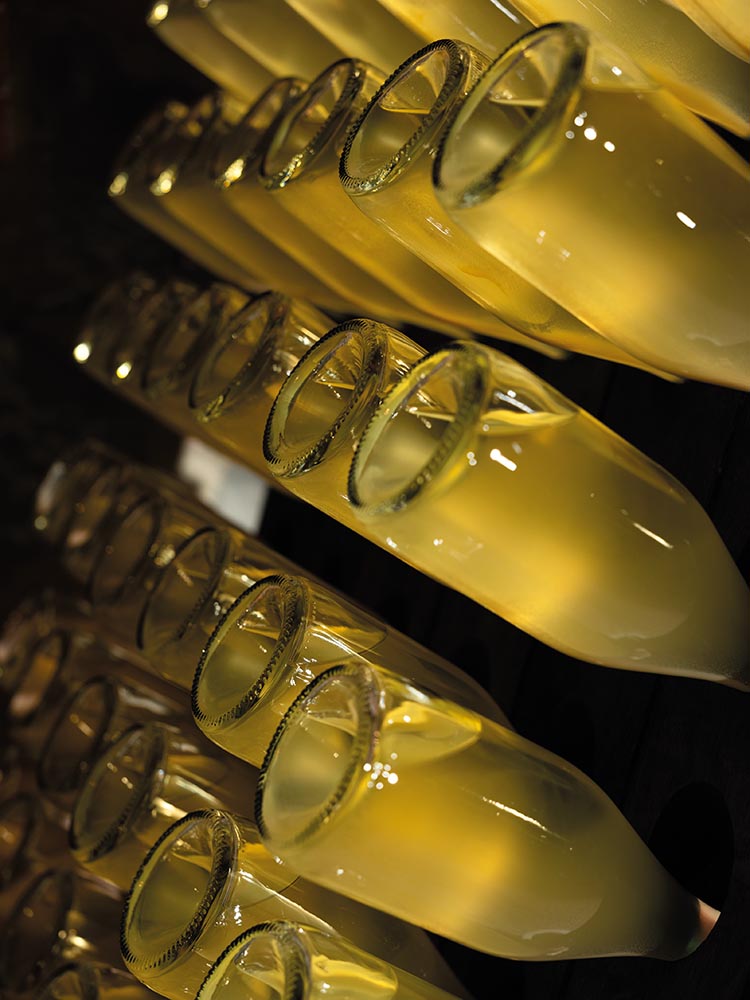 Gvinia Winery