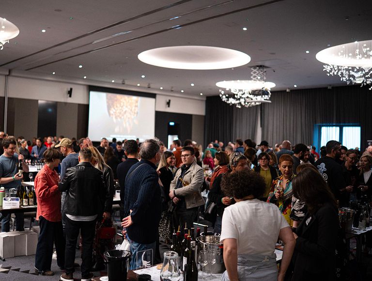 Wine Ambassadors 2026