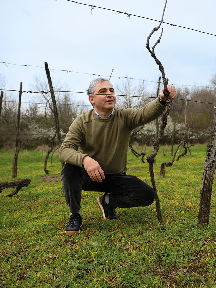 Misha Meskhi